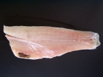 HARDERFILET dv