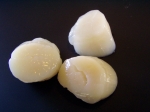 COQUILLES amerika pot inh. 1kg